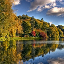 viewes, lake, clouds, autumn, Sky, trees