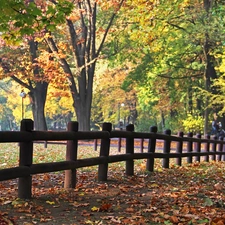 Autumn, wooden, Hurdle, Park