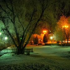 viewes, Park, Night, winter, Lamps, trees