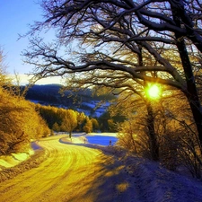 sun, snow, trees, viewes, Way