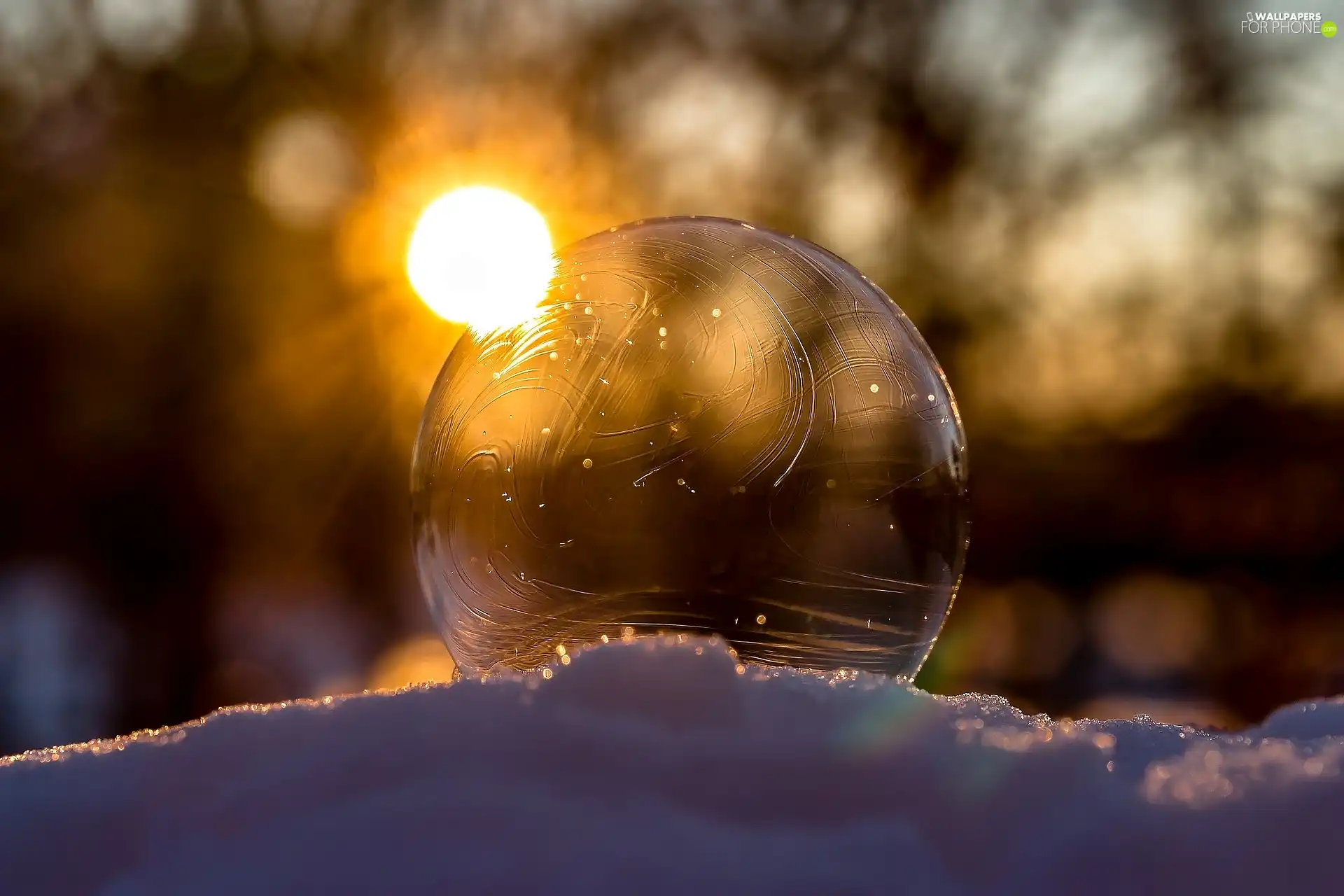 Frost, winter, Great Sunsets, Close, bubble, snow