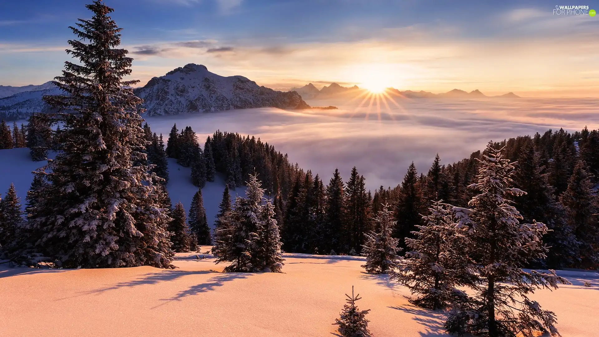 trees, rays of the Sun, Mountains, Sunrise, winter, viewes, Fog