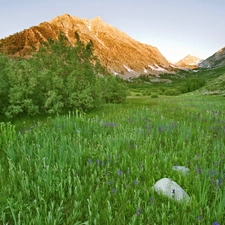 mountains, slope, Meadow, green ones