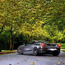 autumn, Ferrari, trees, viewes, Way, F430