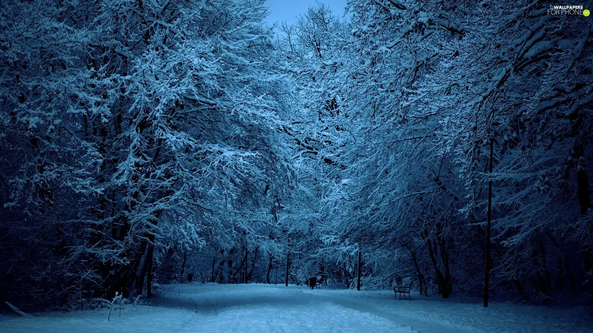 alley, Park, bench, lanterns, luminosity, winter, sun, flash, ligh