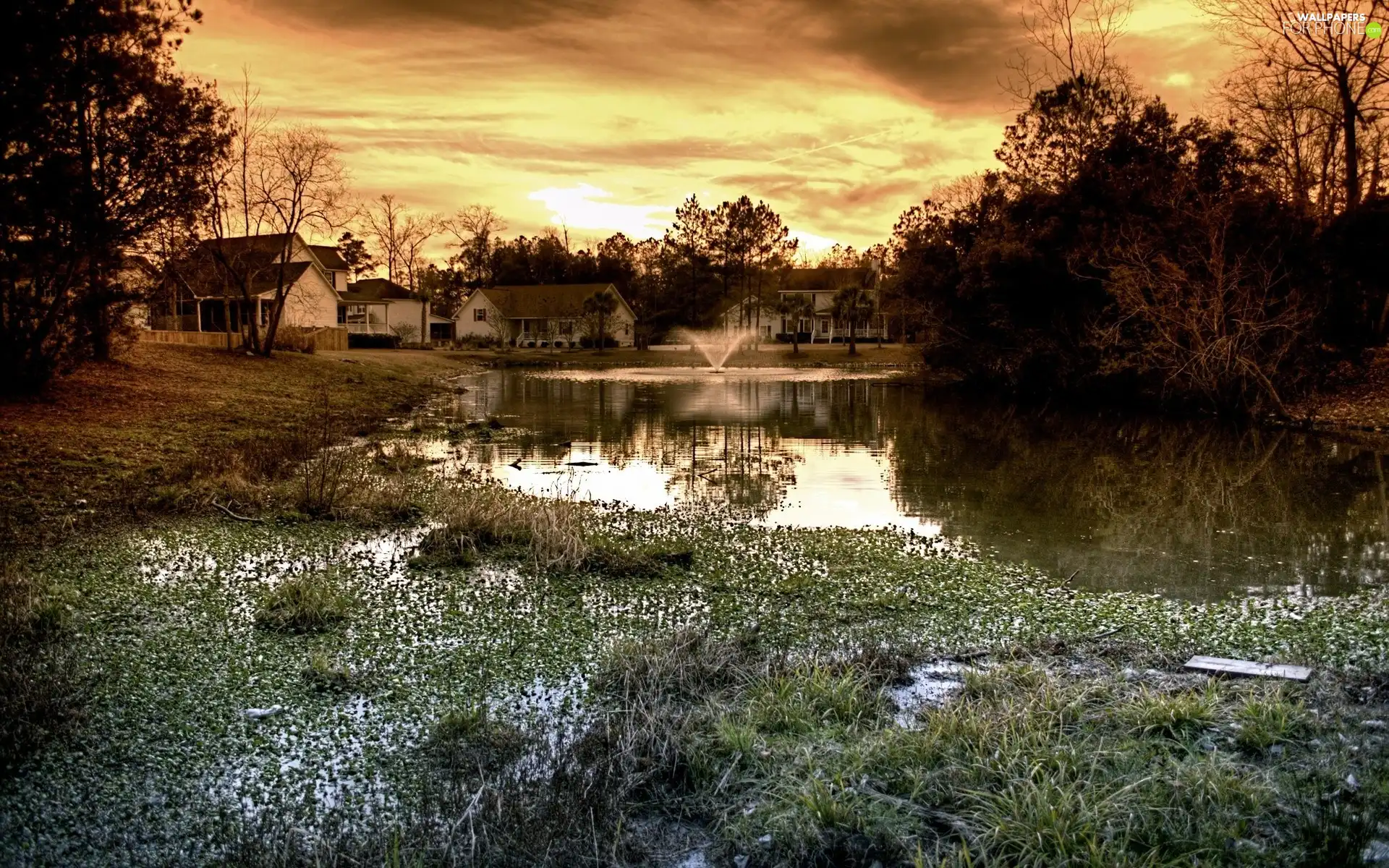 west, Pond - car, buildings, sun