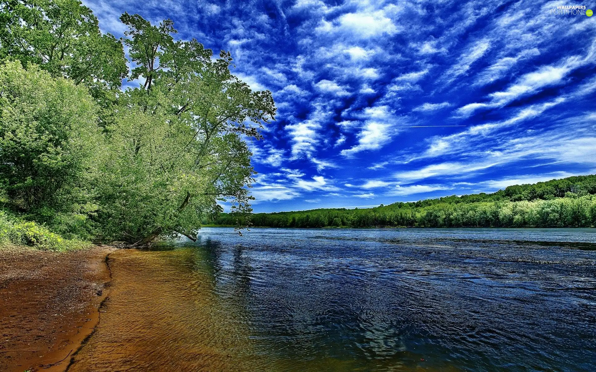 trees, high, clouds, Sky, viewes, River