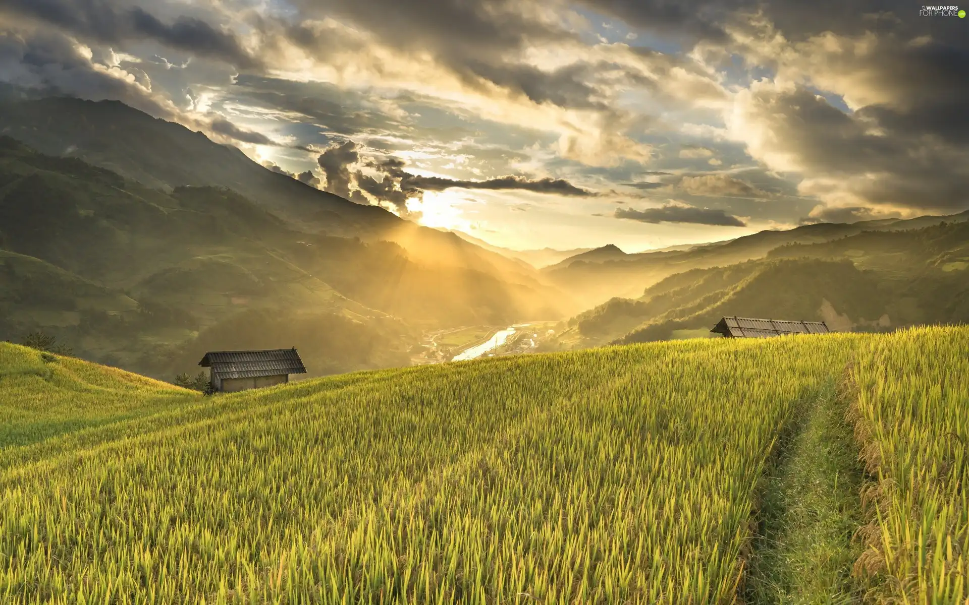 Field, cultivated, Mountains, clouds, Sunrise