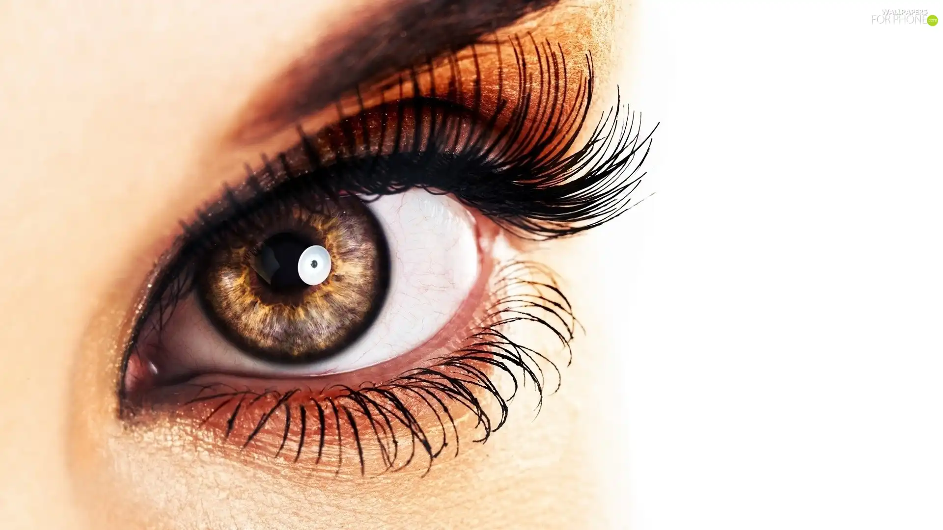 make-up, Women, eye