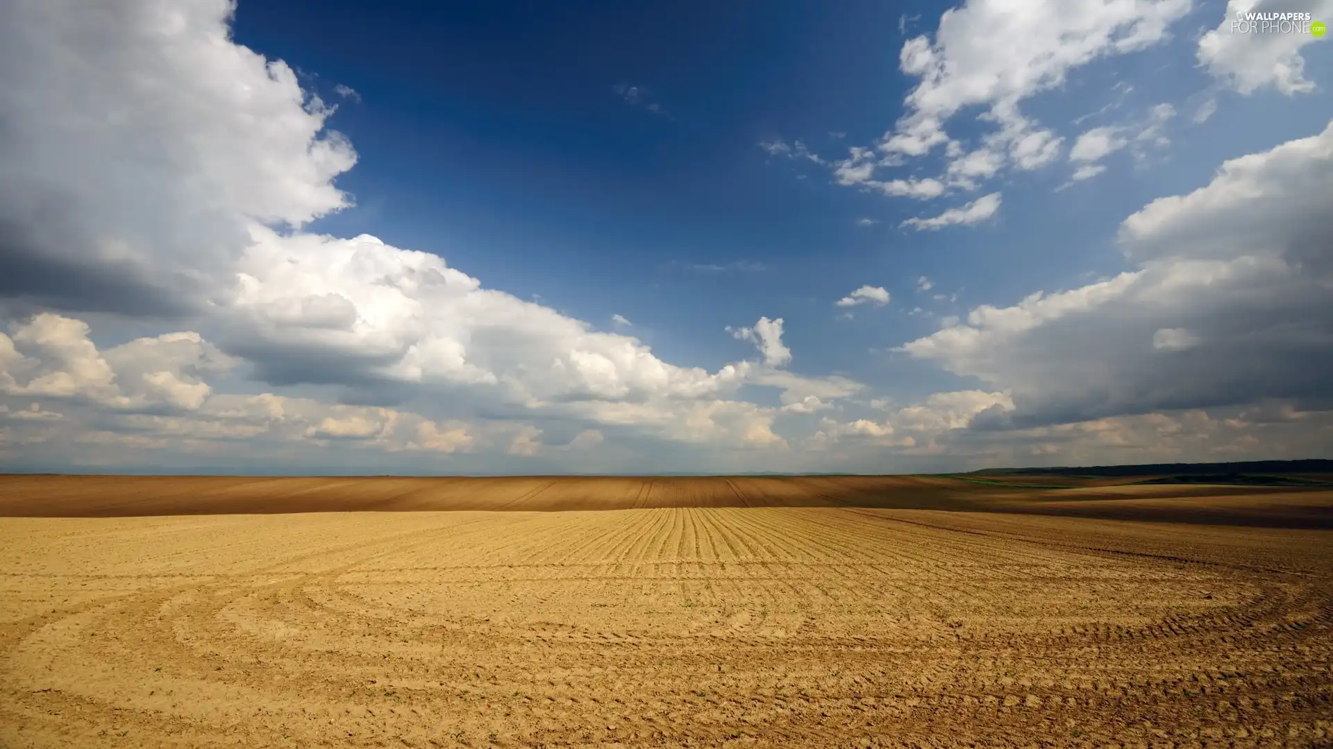 Field, Sky, clouds