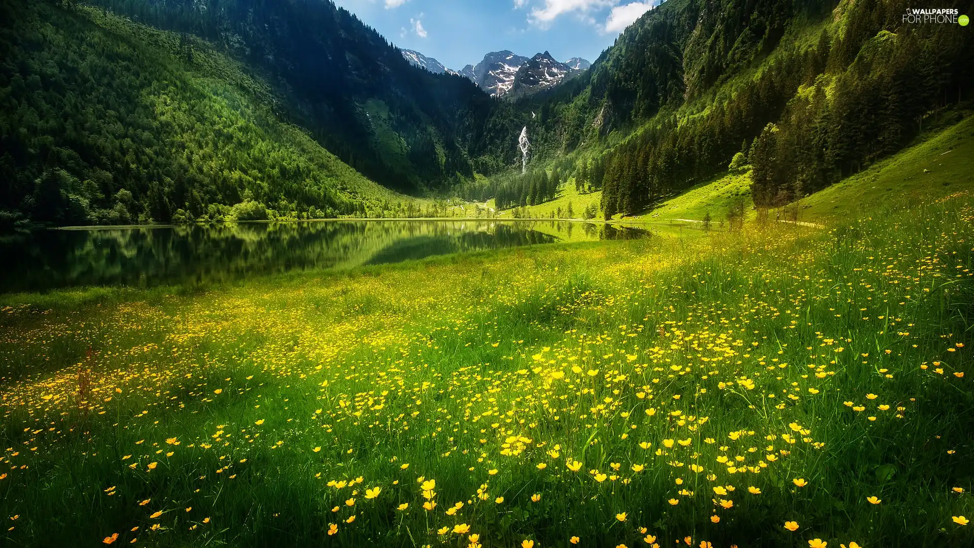 Meadow, Flowers, Mountains, waterfall, lake - For phone wallpapers ...