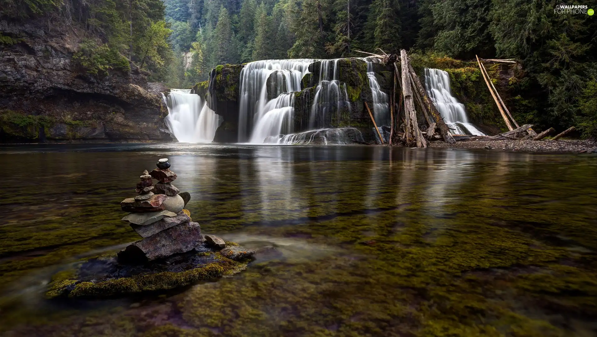 forest, waterfall, lake