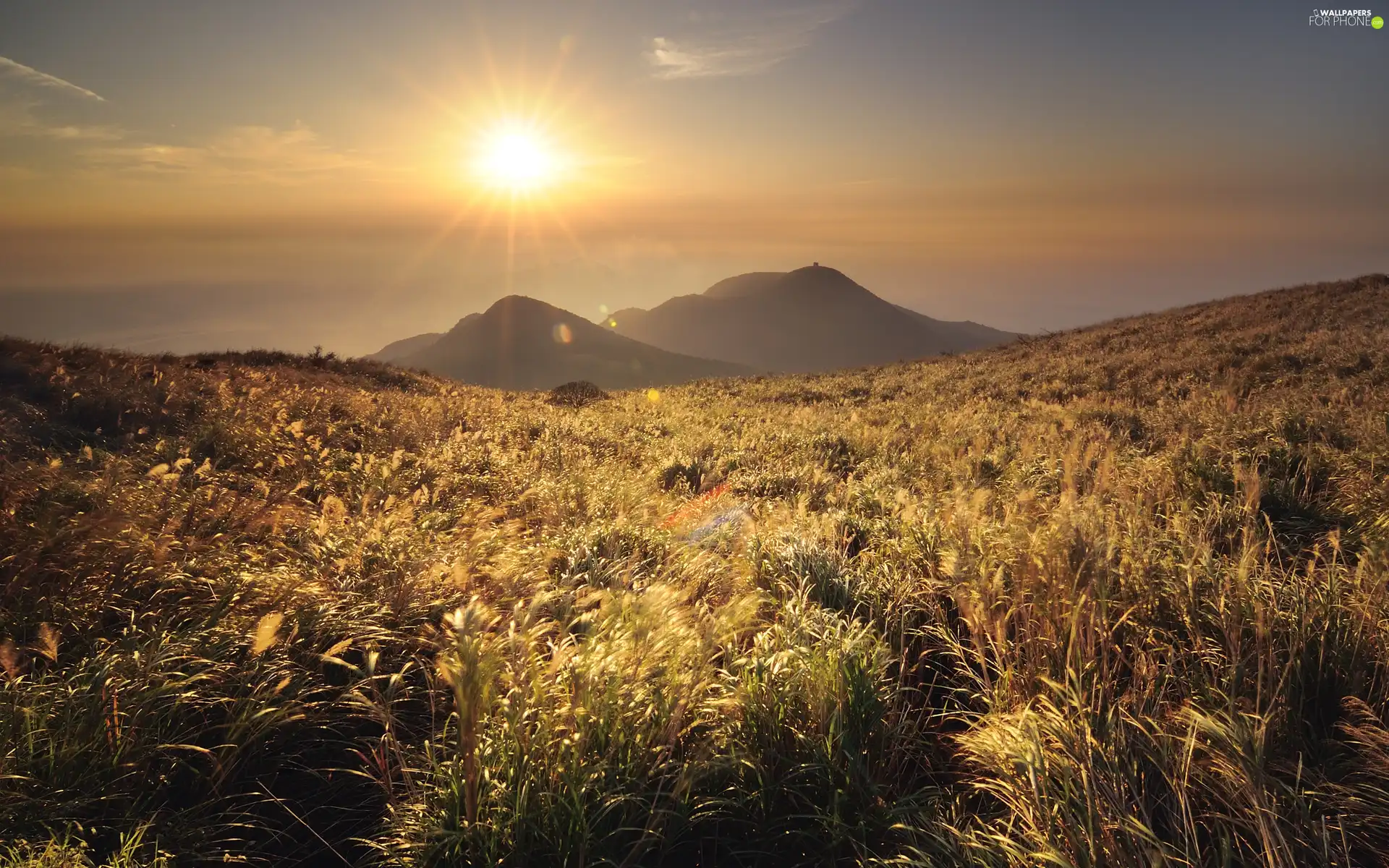 rays, Mountains, grass, sun