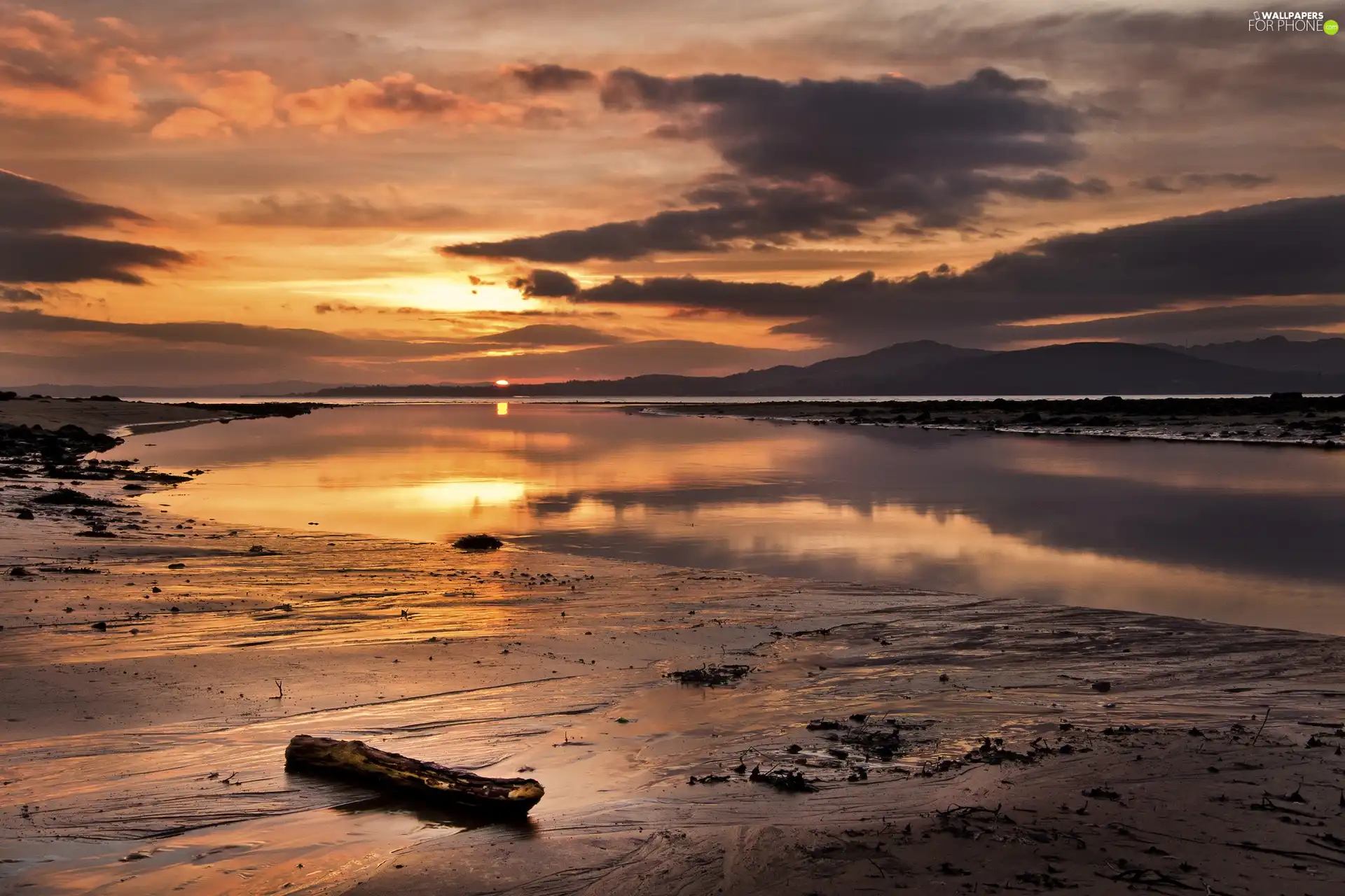 lake, log, Great Sunsets, Beaches