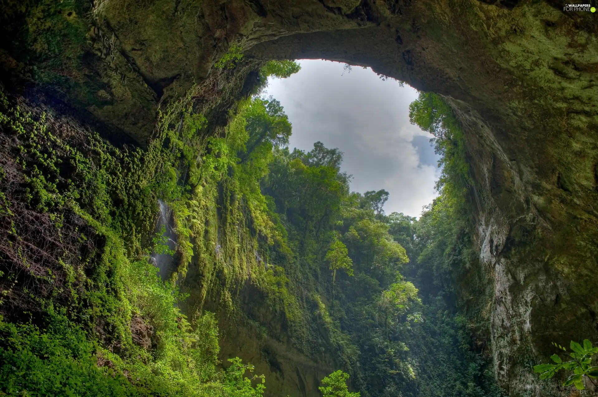 green, Wooded, rocks