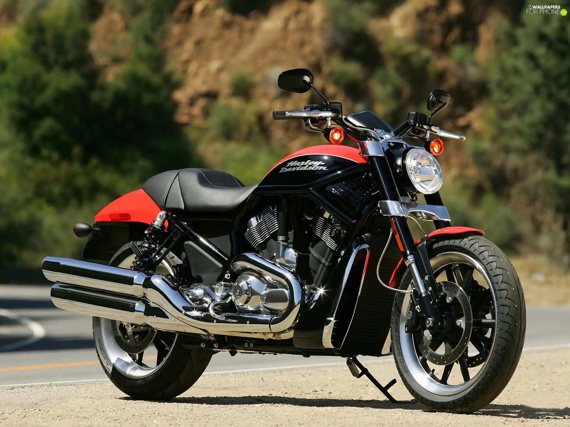 Cruiser, Harley Davidson VRSCR Street R