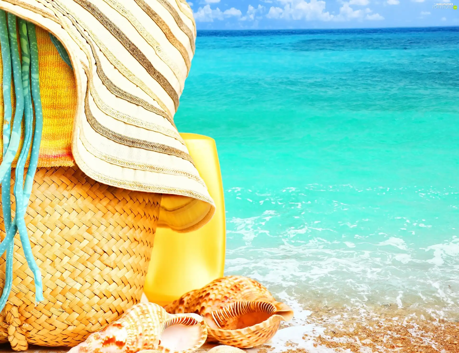 Hat, Beaches, Shells, basket, sea