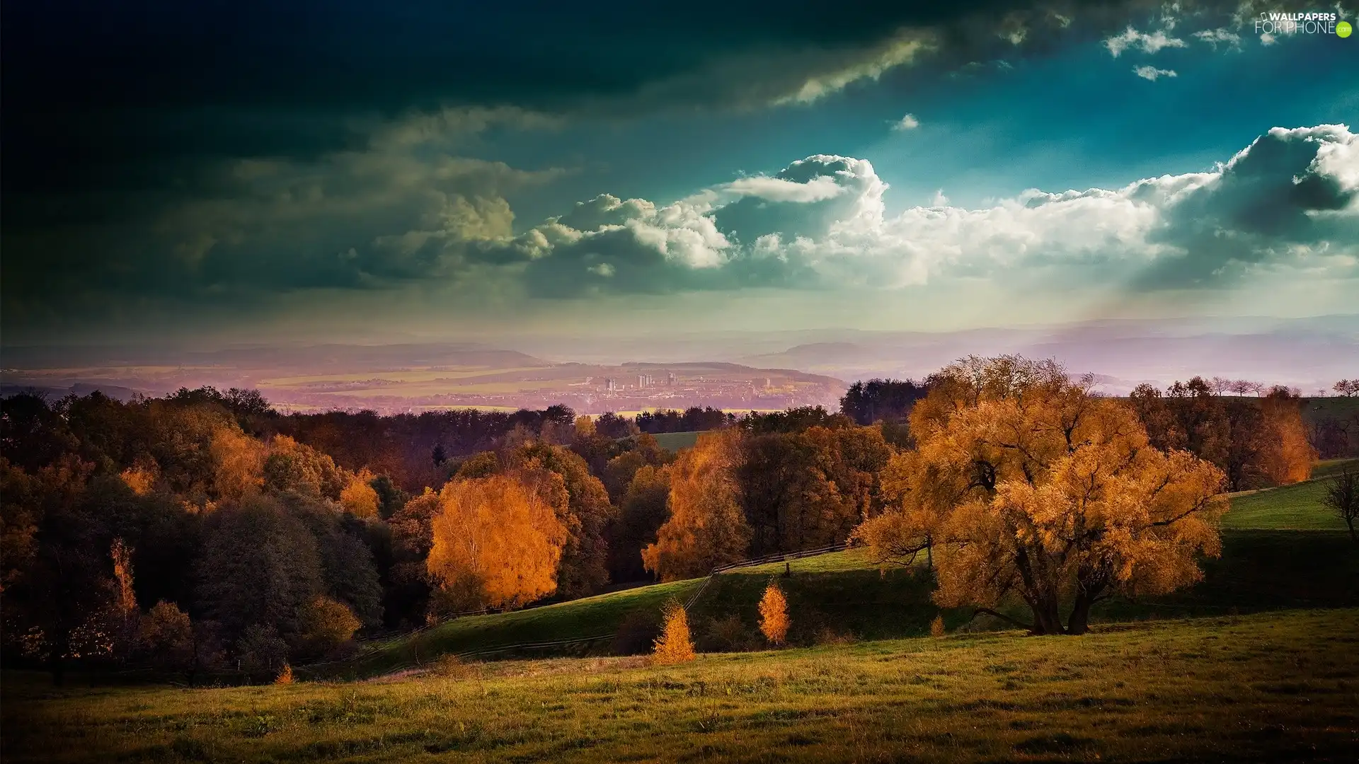 trees, Sky, Hill-side, viewes