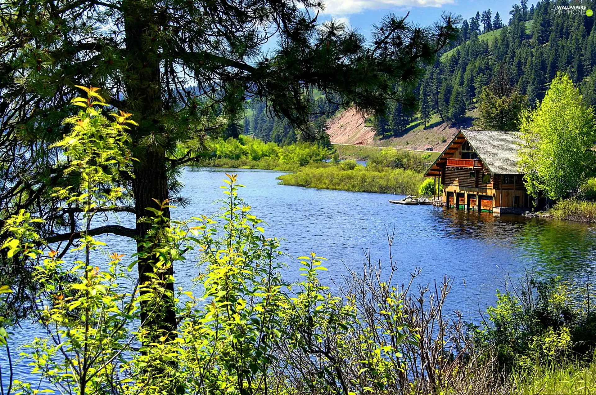 house, lake, forest