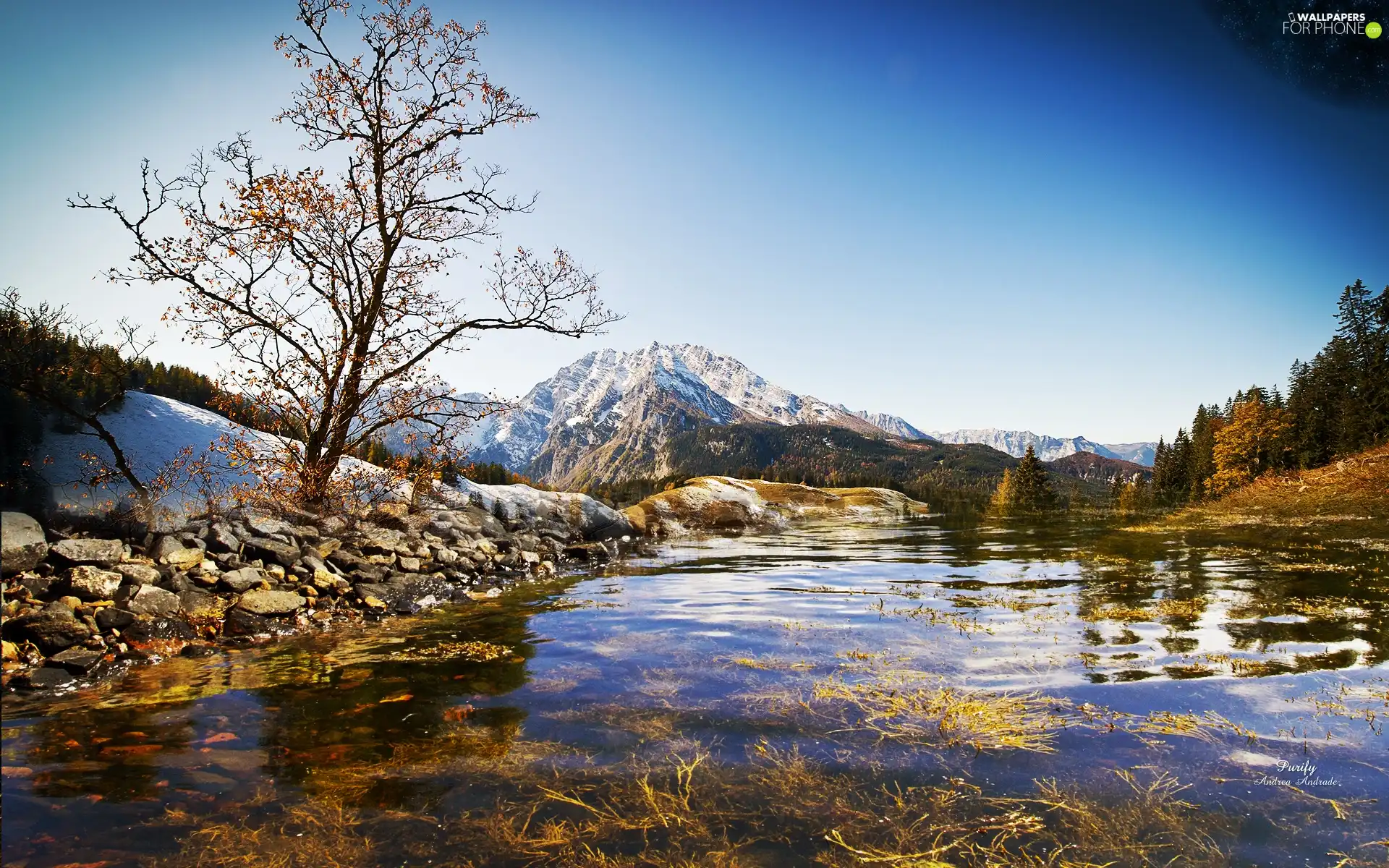 lake, Mountains, trees