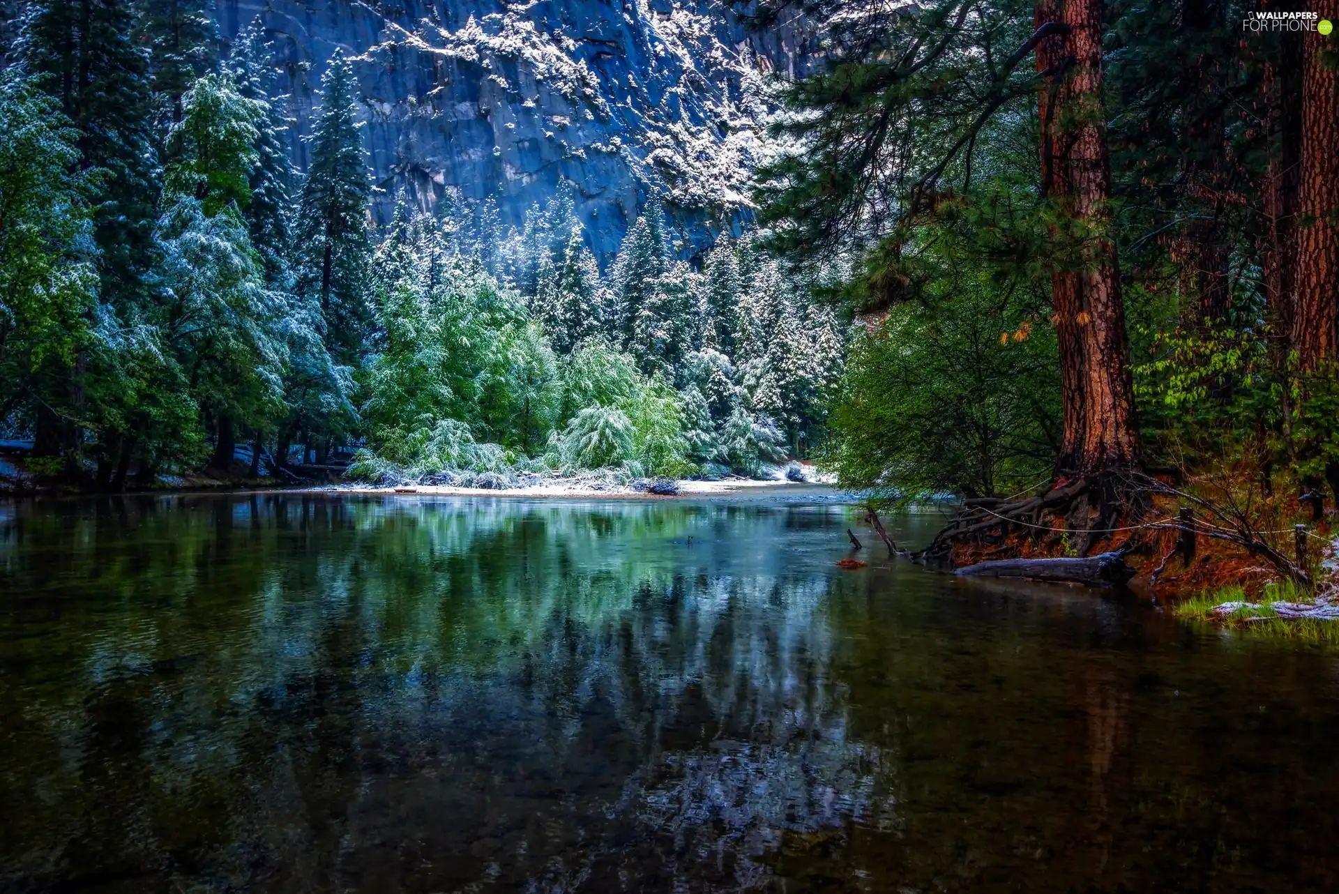 Late, autumn, Mountains, forest, River