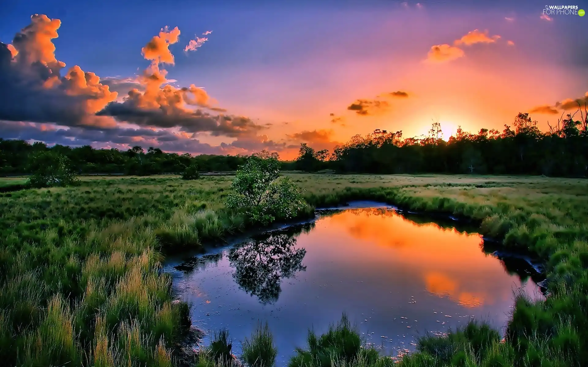 Red, Pond - car, medows, Great Sunsets