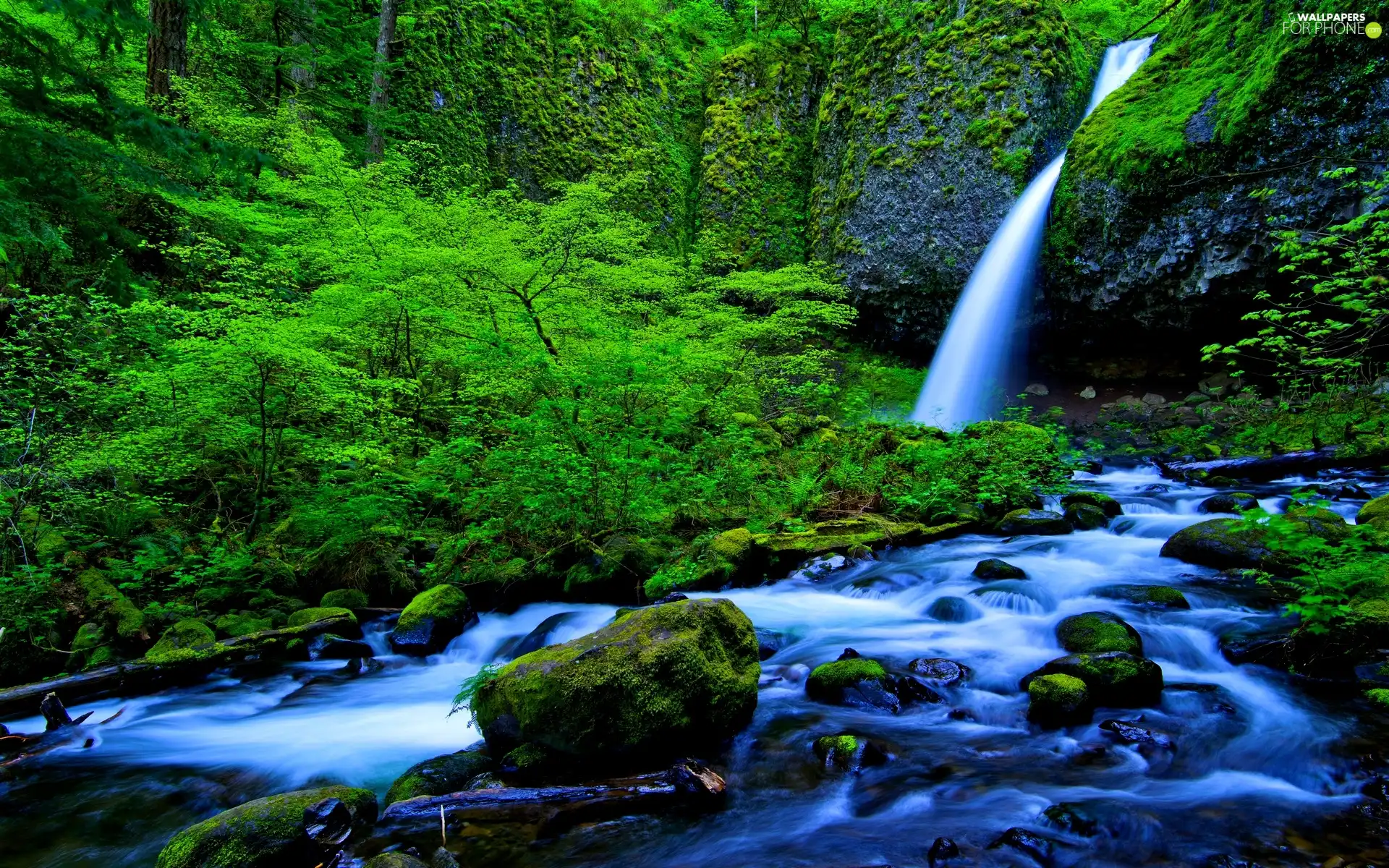 Moss, waterfall, River