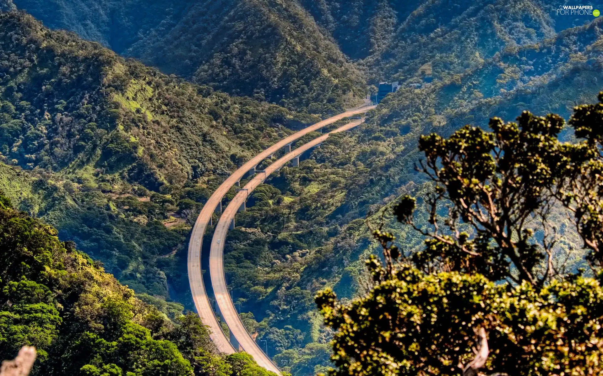 Mountains, Way, flyover