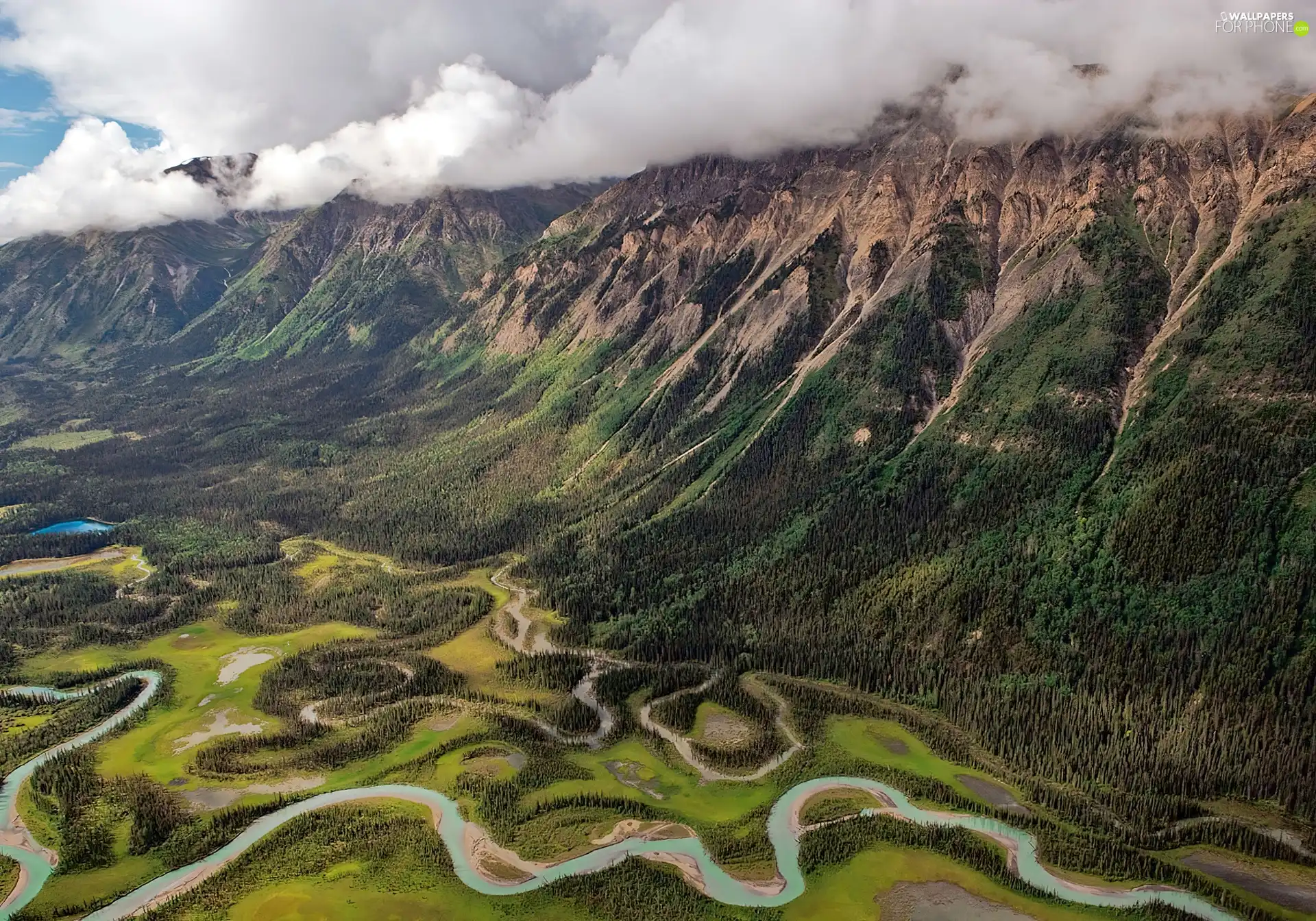 River, Canada, Mountains, Toad