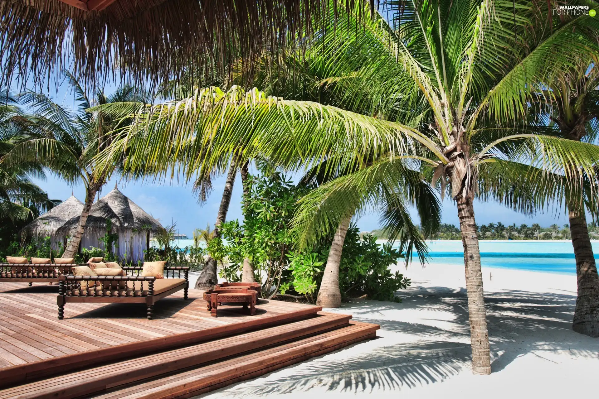 Palms, Beaches, podium, hut, wooden