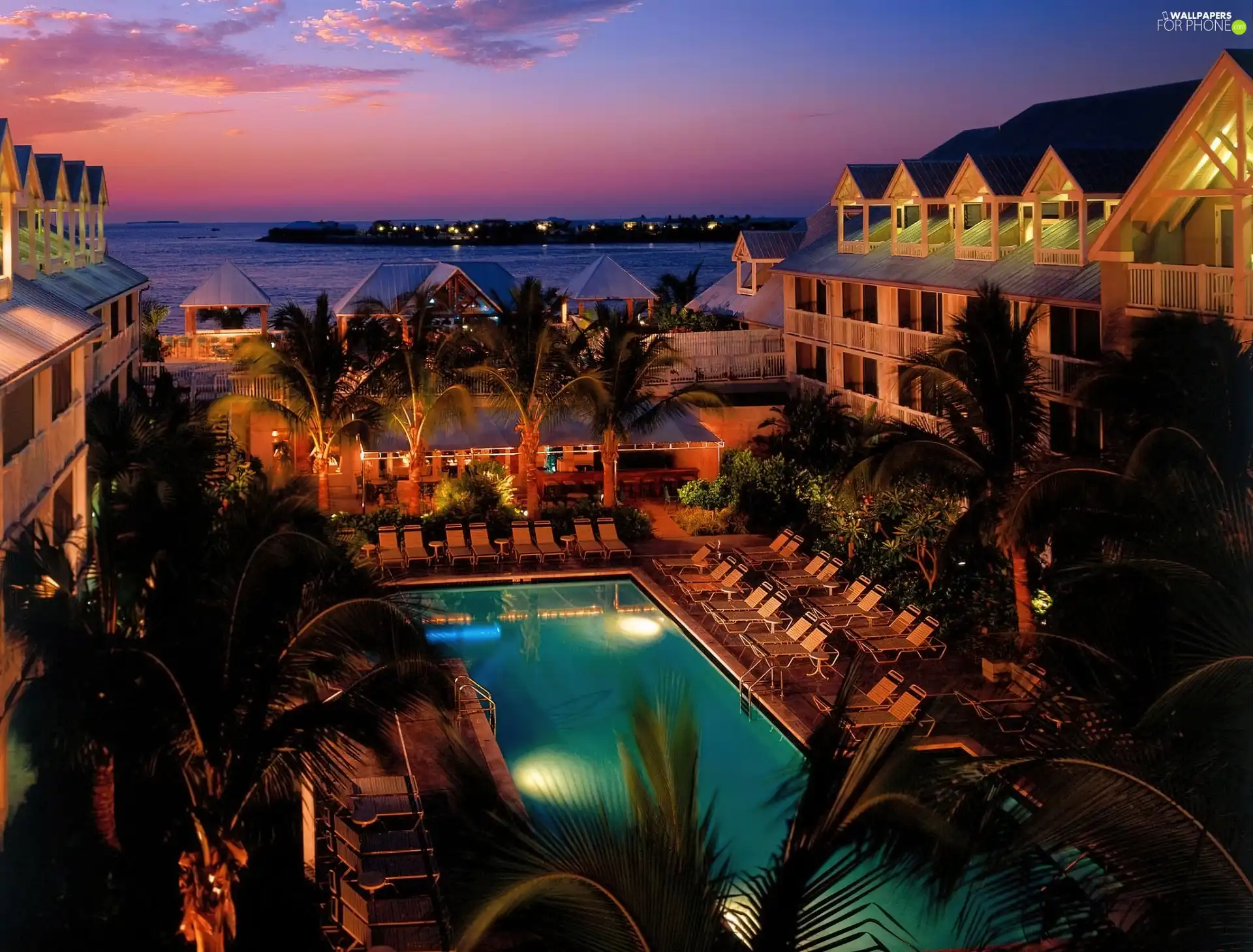 Palms, night, Pool, sea, Hotel hall