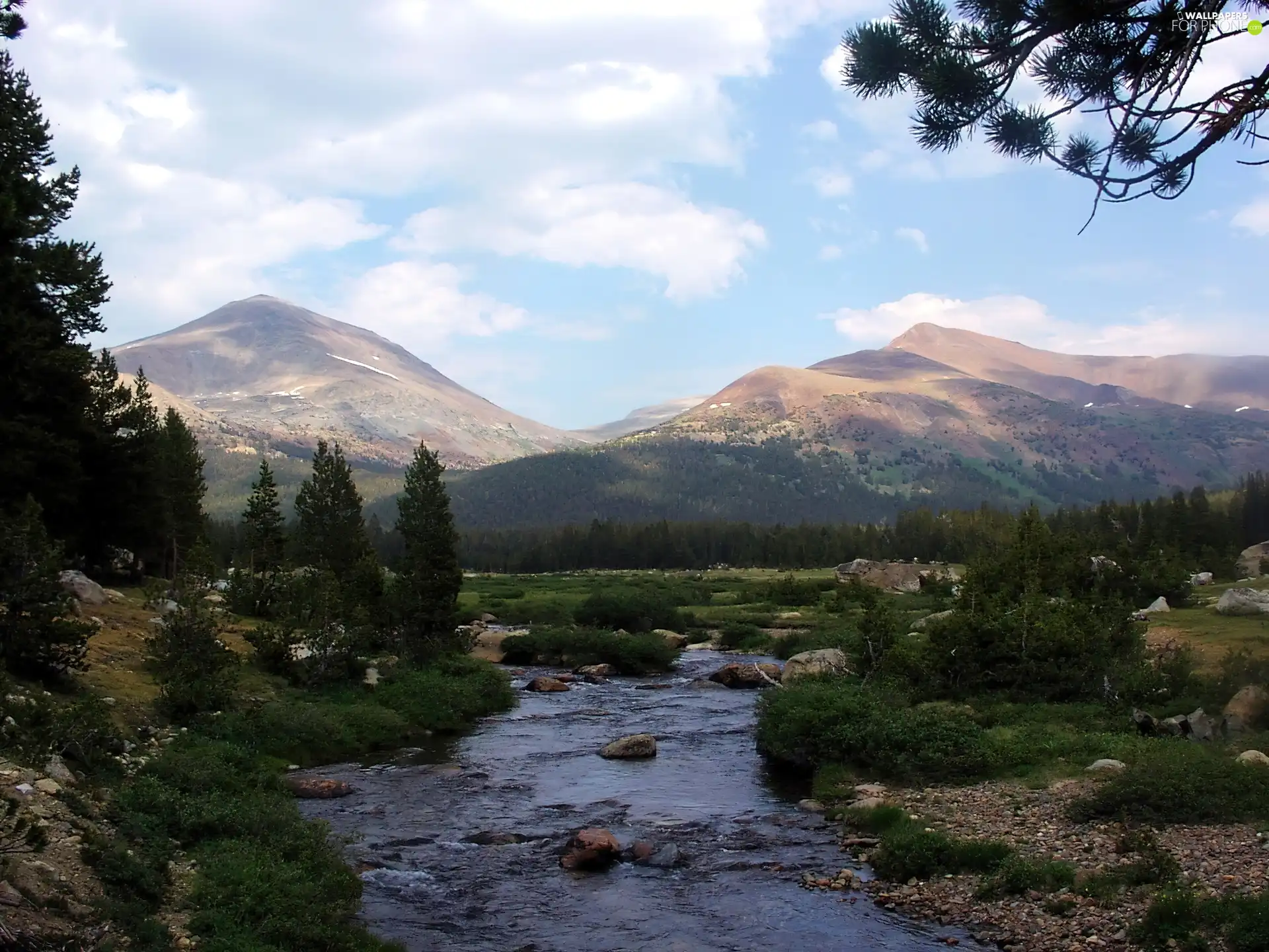 panorama, Mountains, trees, viewes, brook