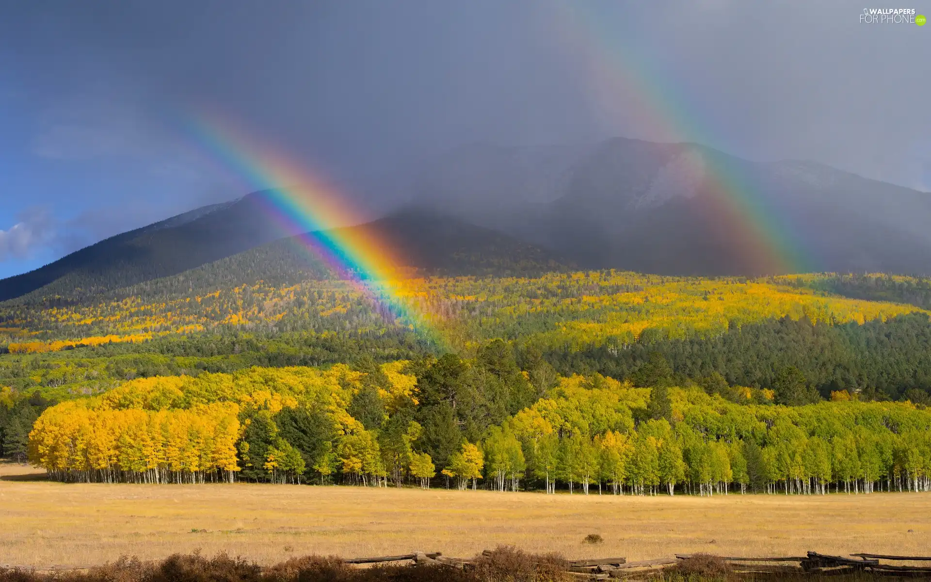 autumn, Mountains, rainbows, woods