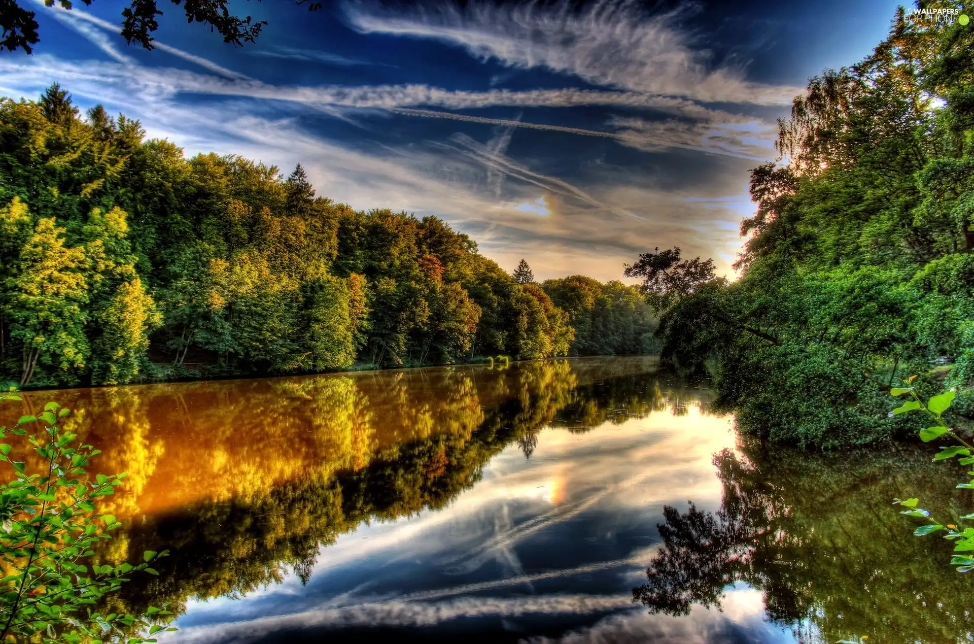 reflection, River, woods