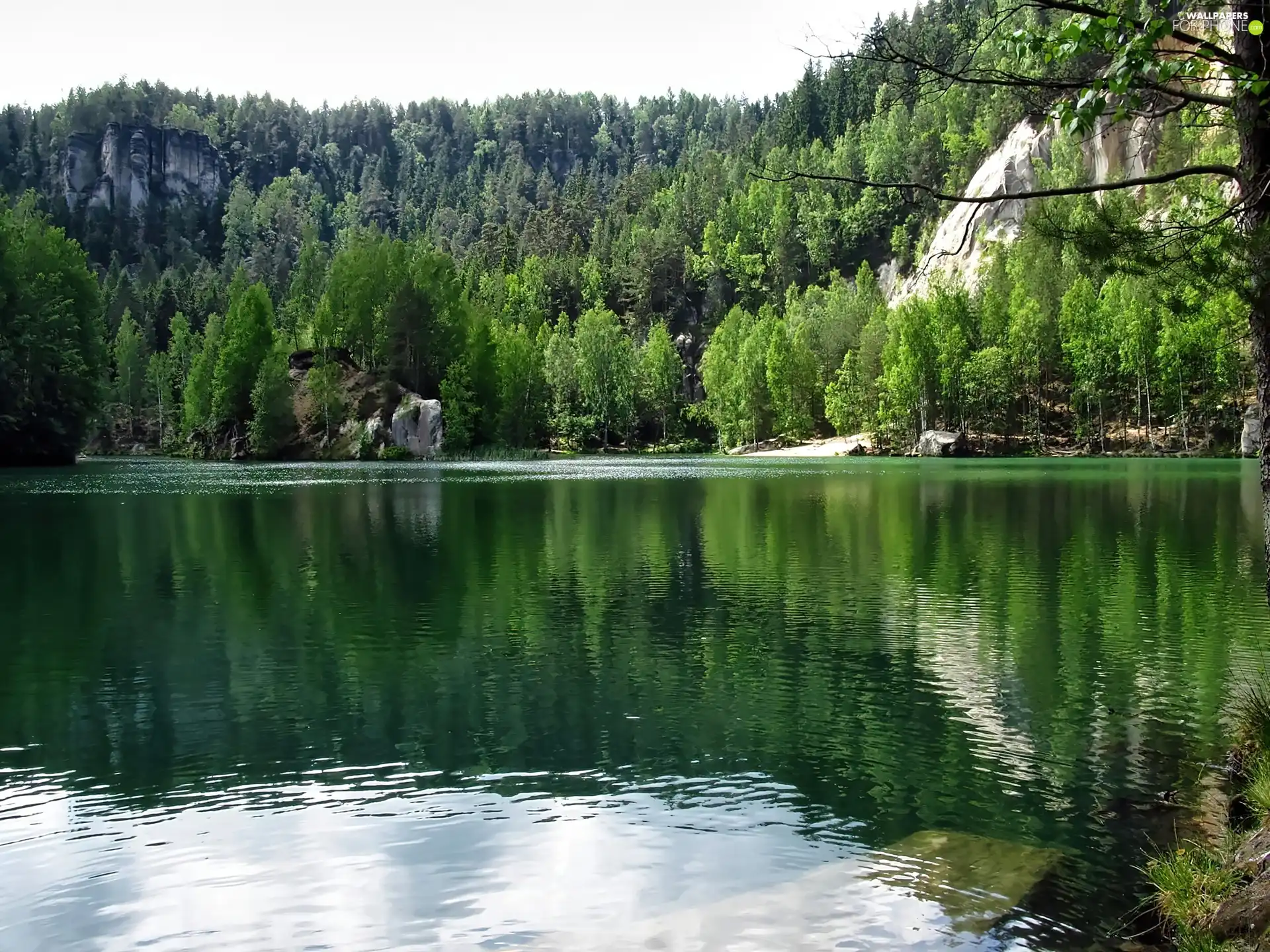 Rock City, Czech Republic, forest, Spruces, rocks, Adrspach