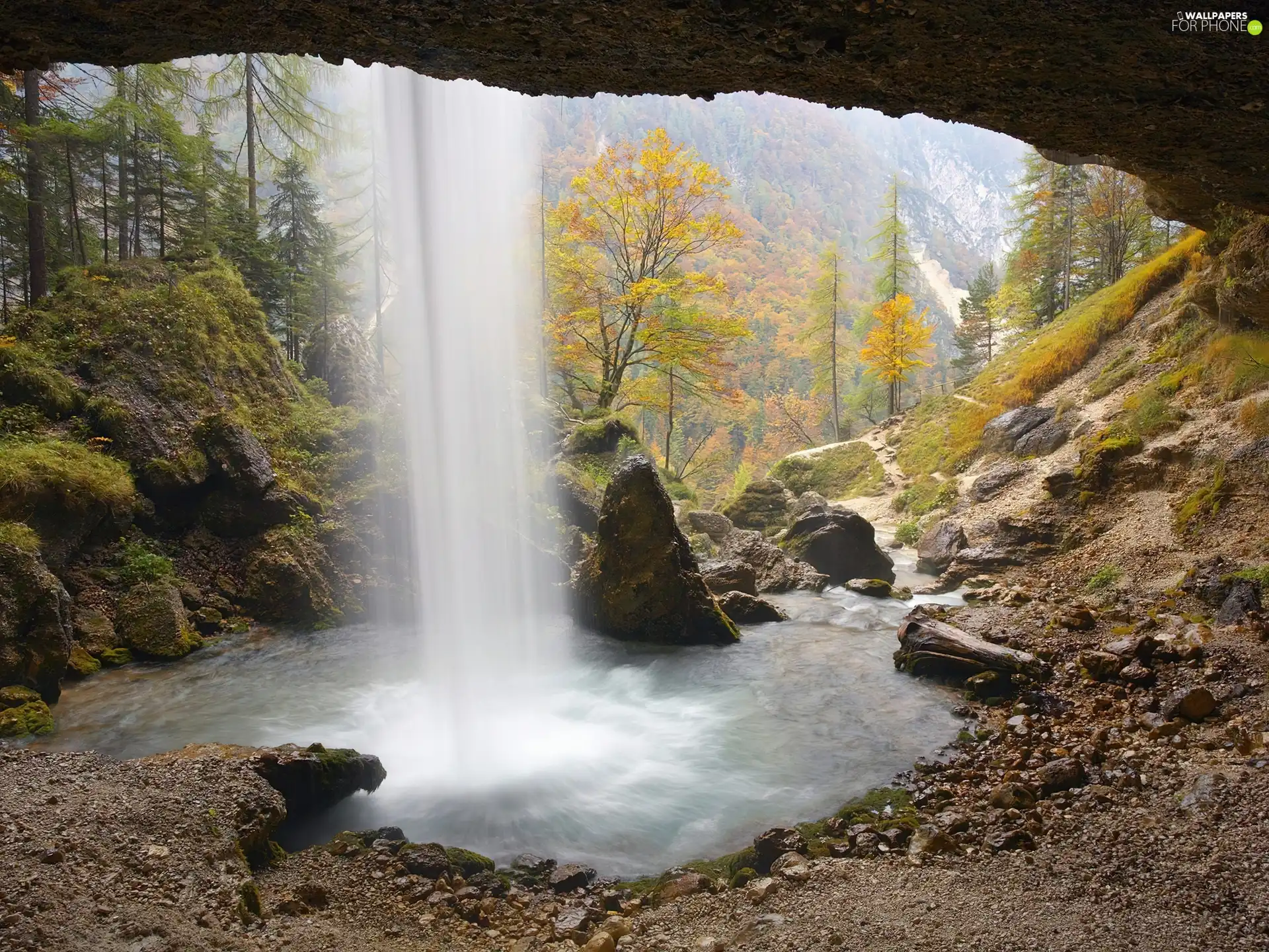 forest, waterfall, rocks, Stones, cave, height