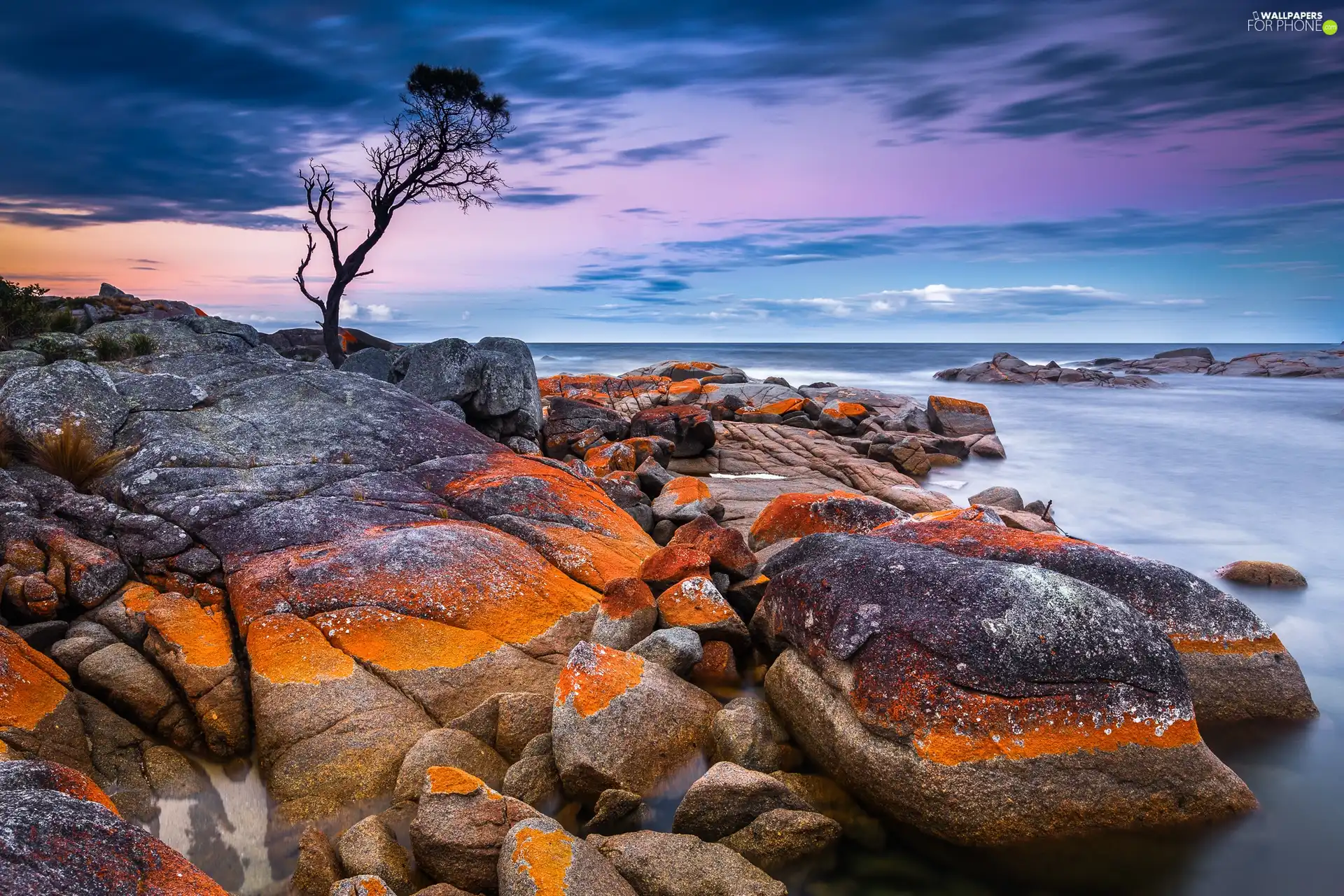 lonely, Stones, sea, trees