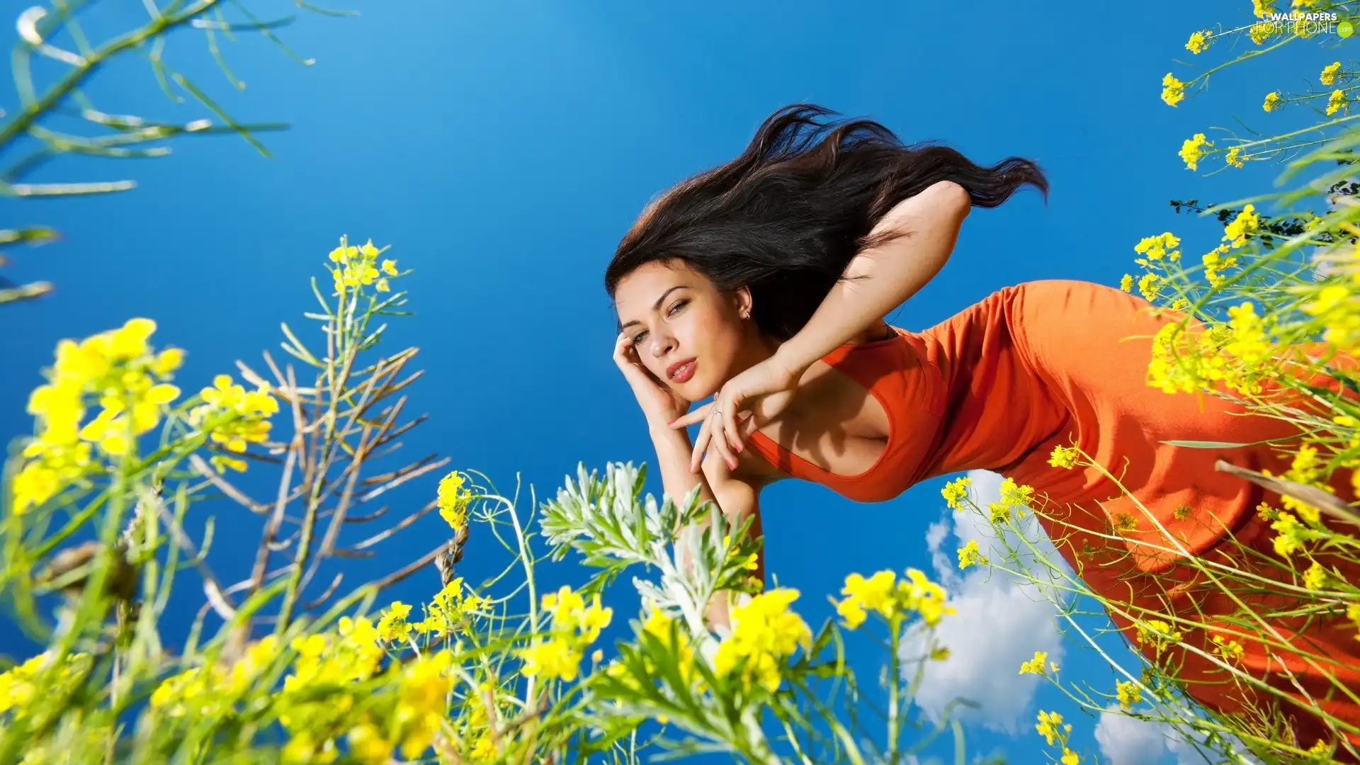 Women, Flowers, Sky, Yellow