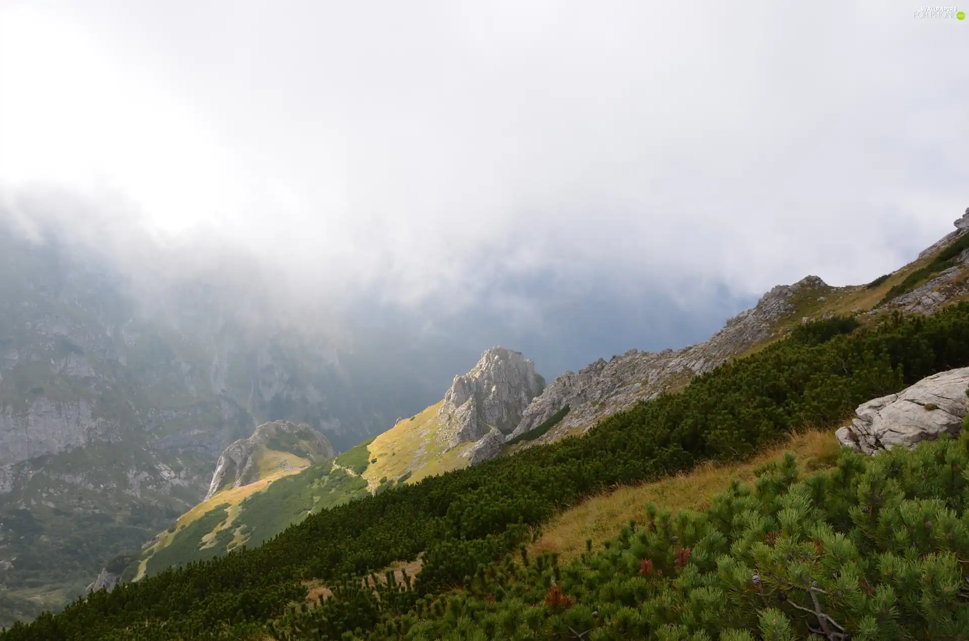 Mountains, slope