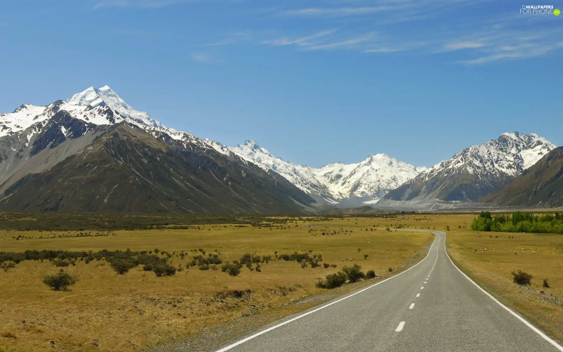 Way, Mountains, snow, Meadow