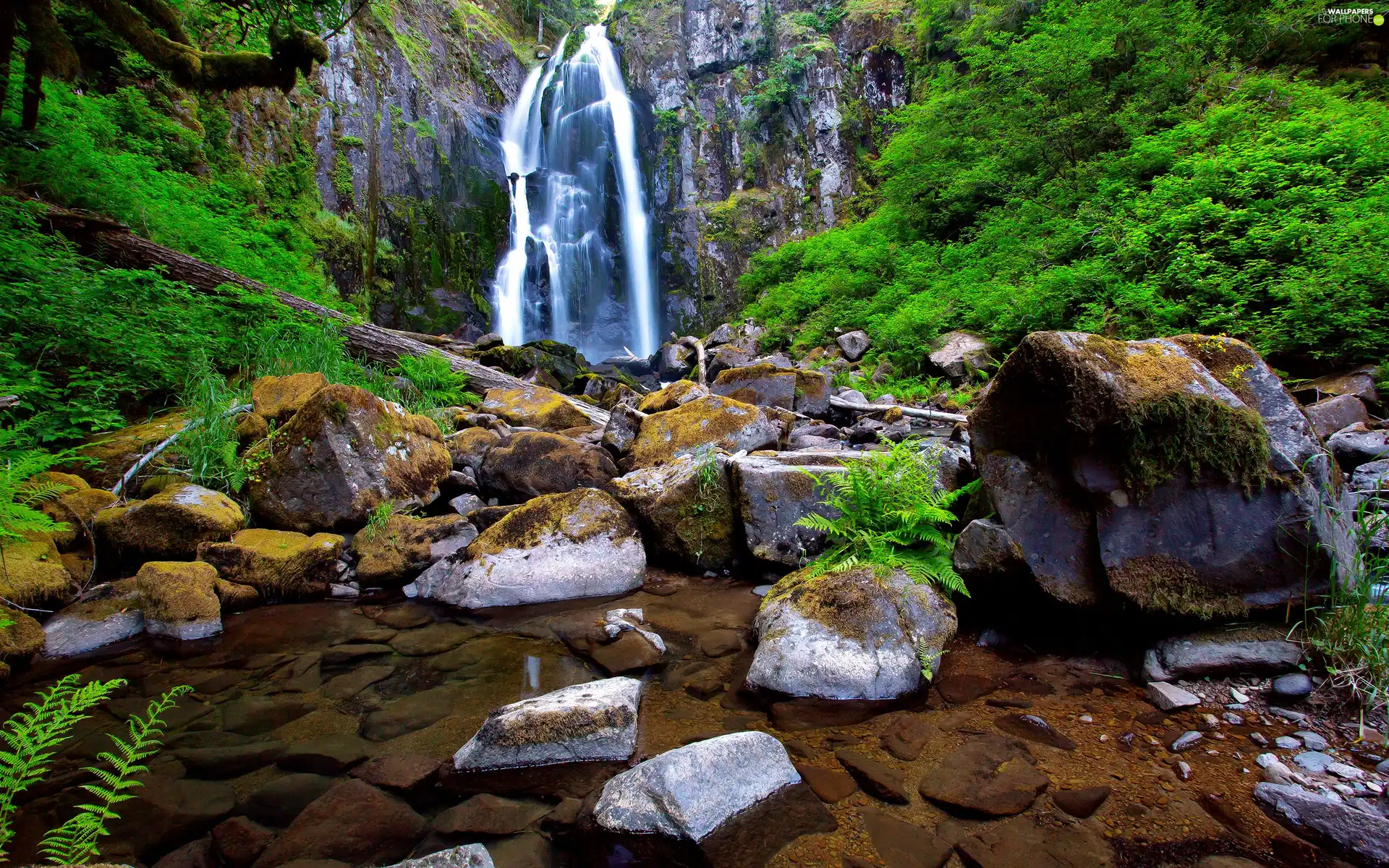 forest, rocks, Stones, waterfall