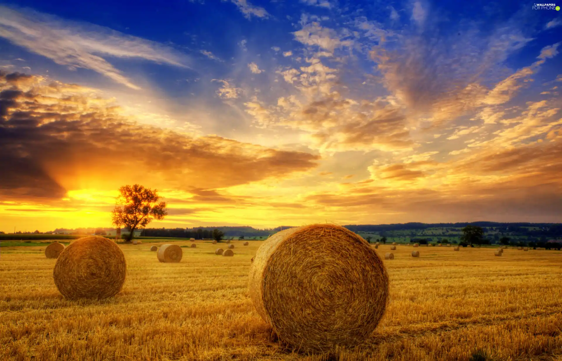 straw, field, sun, Bele, west