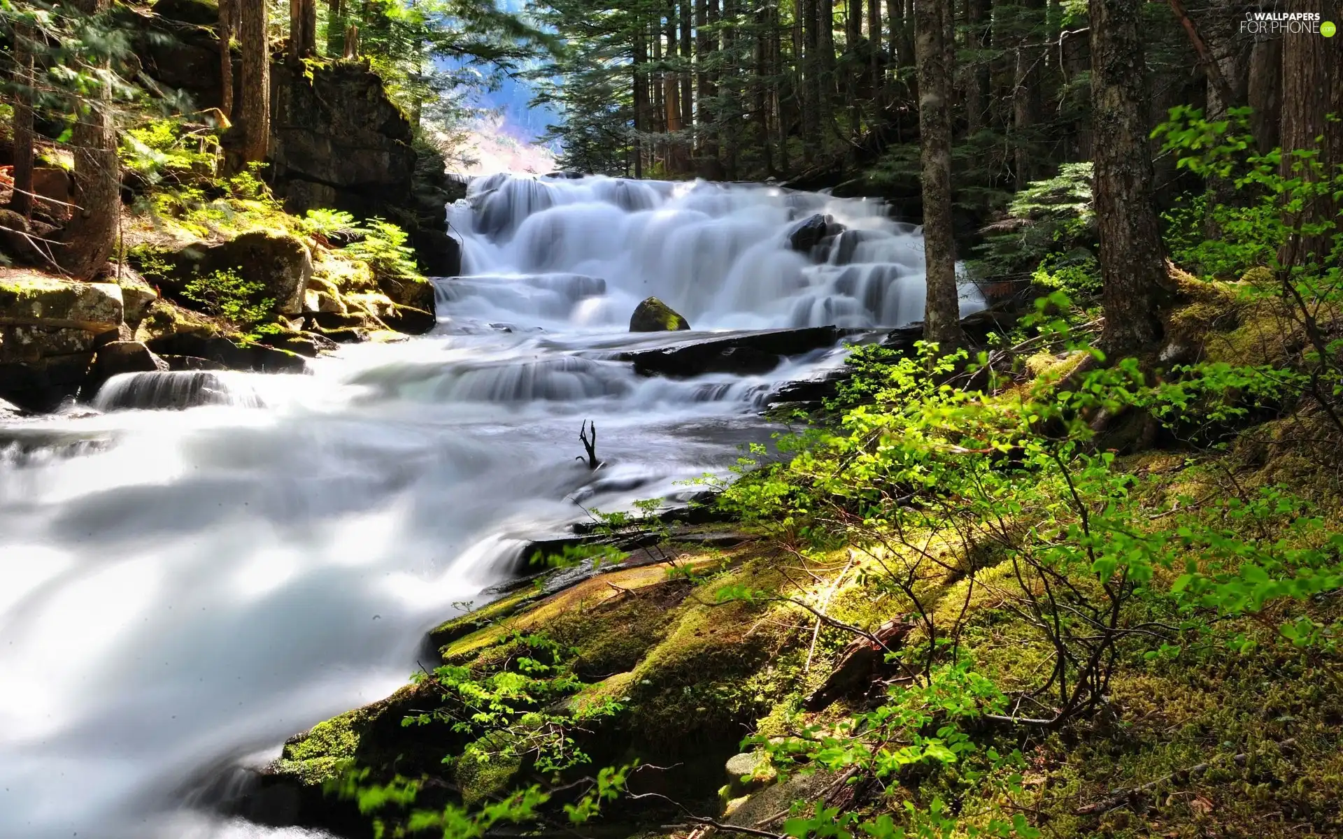 ligh, waterfall, flash, Przebijające, forest, sun, luminosity