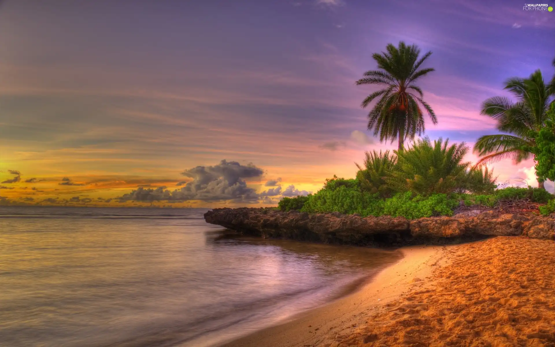 sun, Palms, Beaches, west, sea