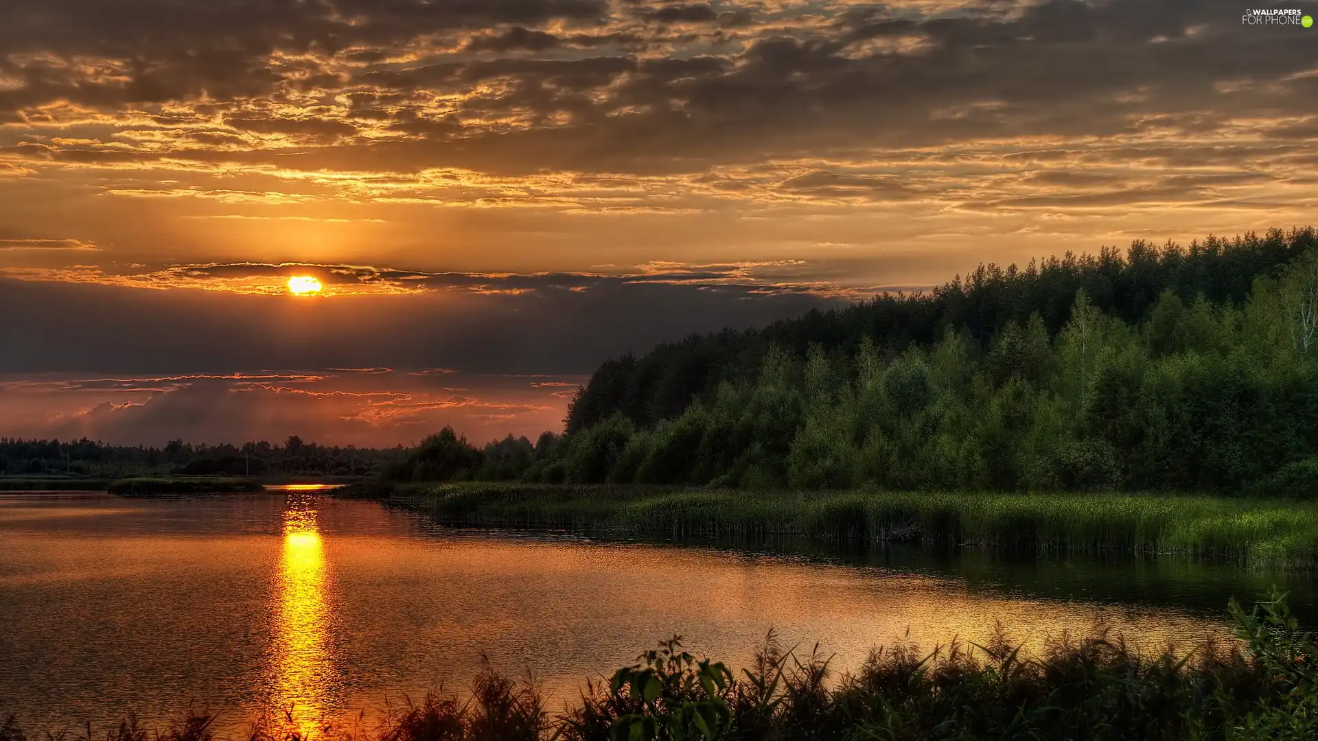 River, west, sun, forest