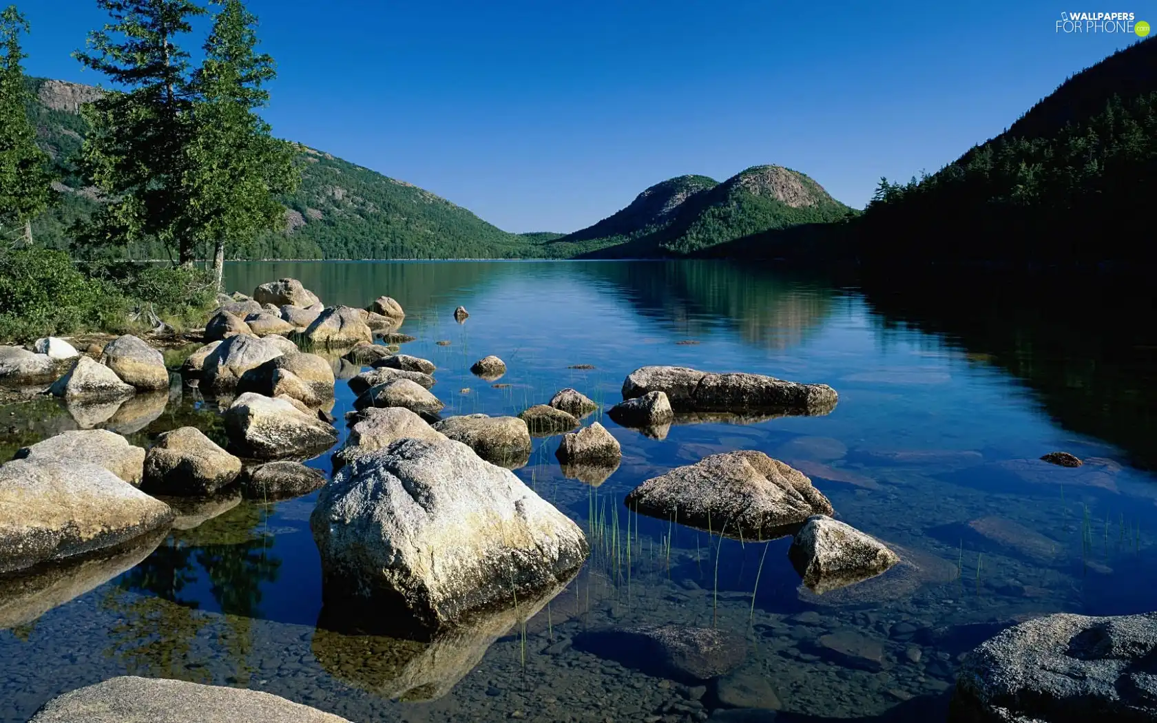 lake, woods, The Hills, Stones