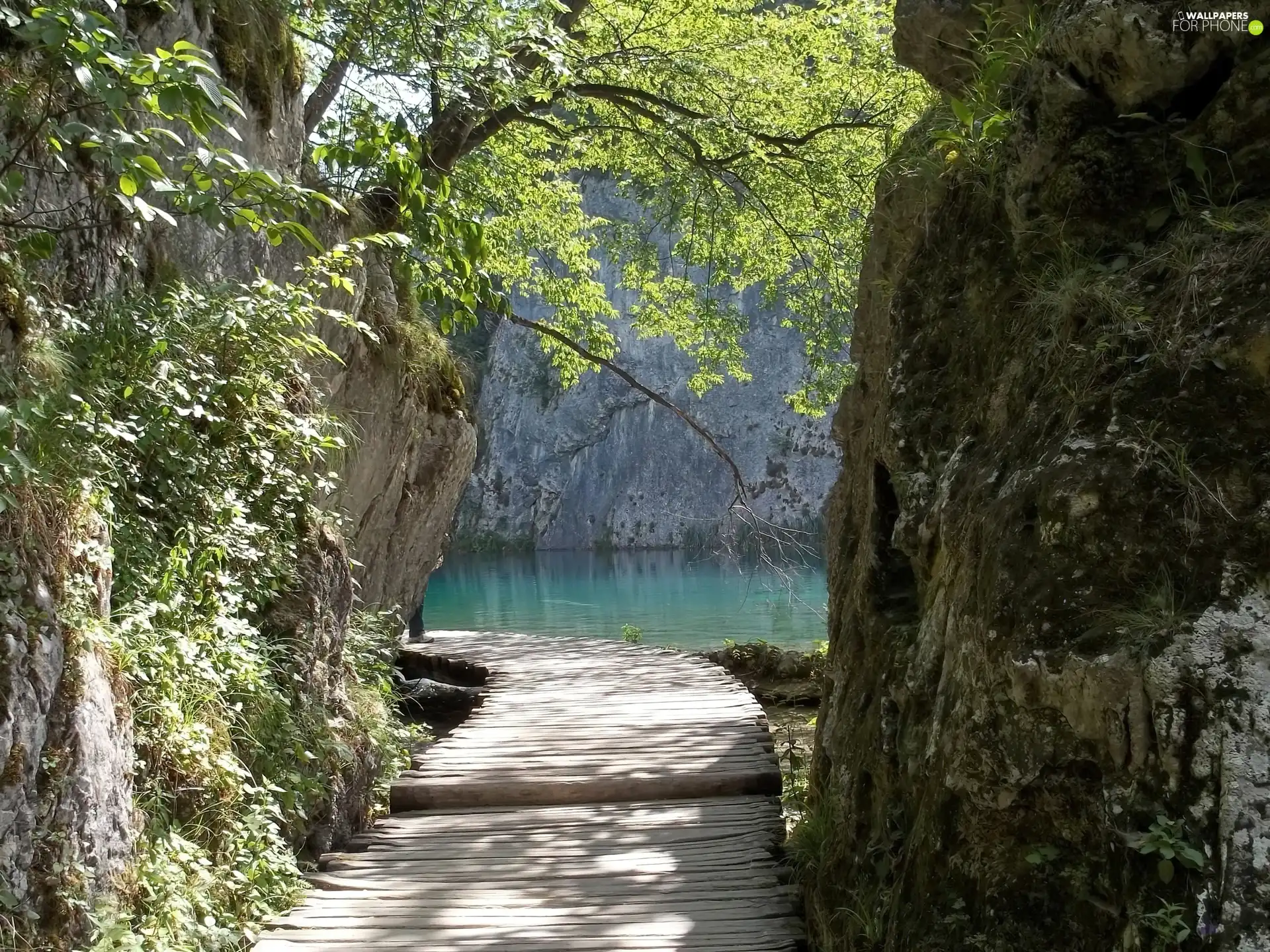 transition, rocks, lake