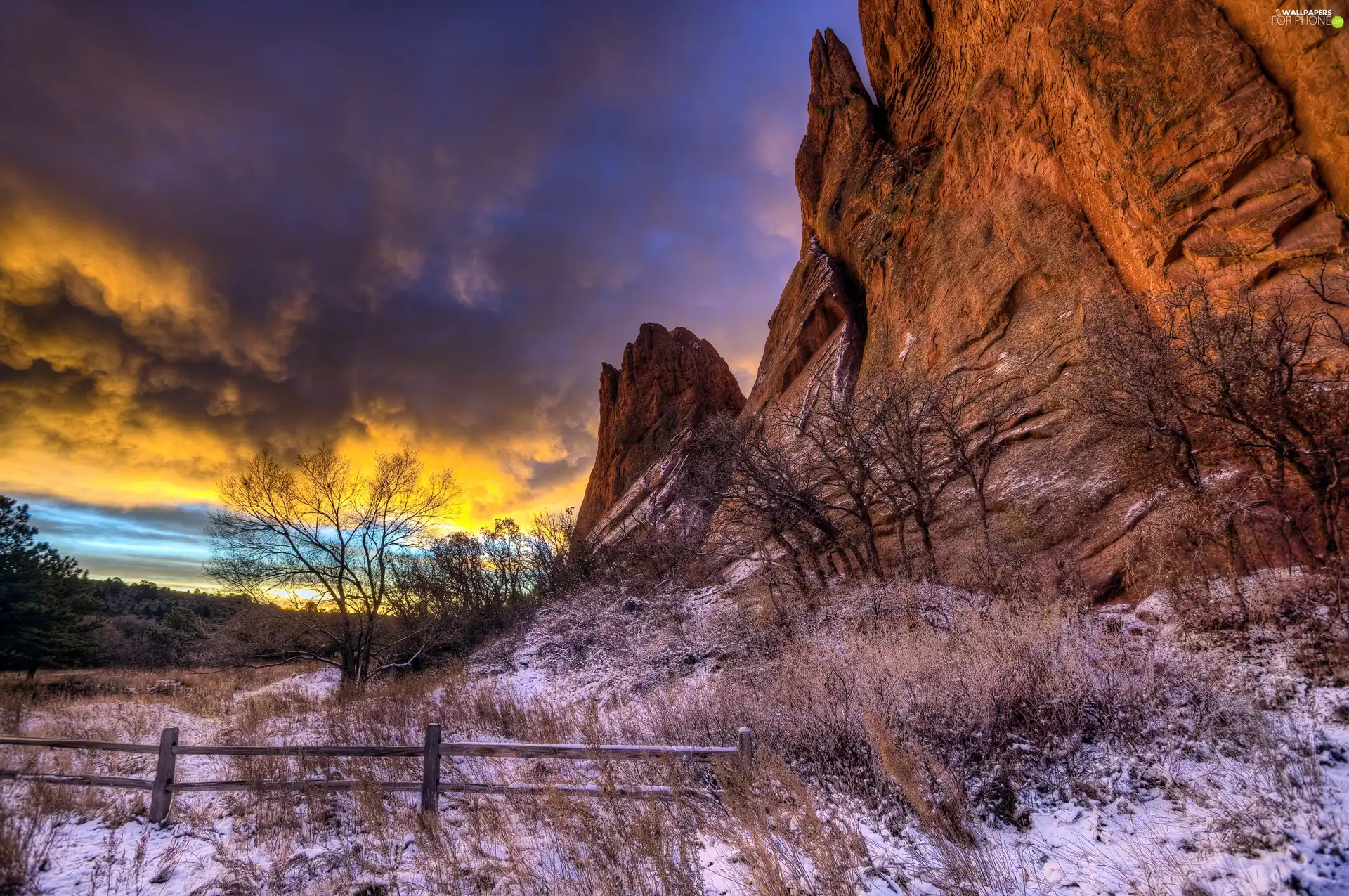 trees, viewes, sun, rocks, west