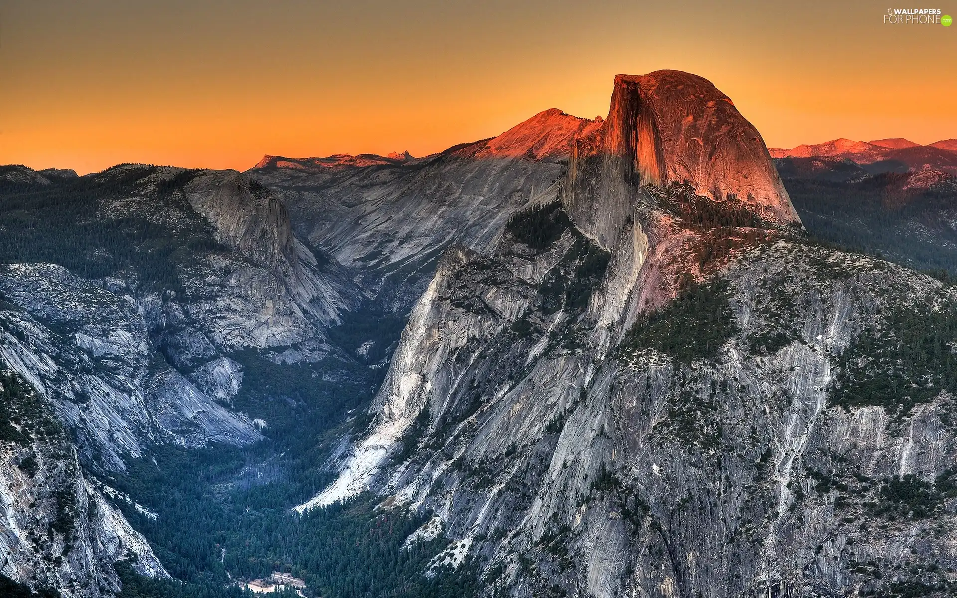 Mountains, forest, Valley, peaks