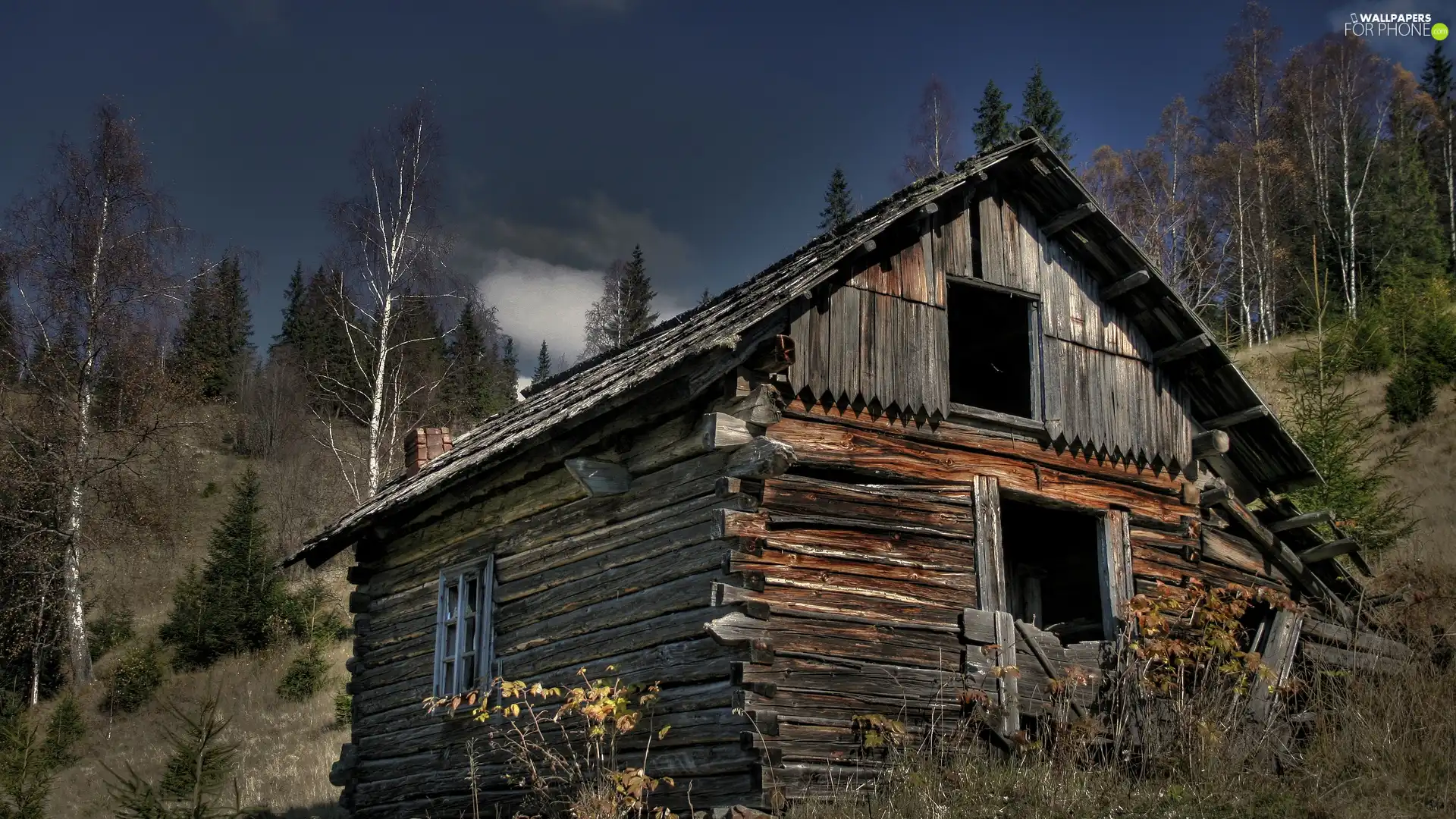 viewes, Ascension, Shanty, trees, house